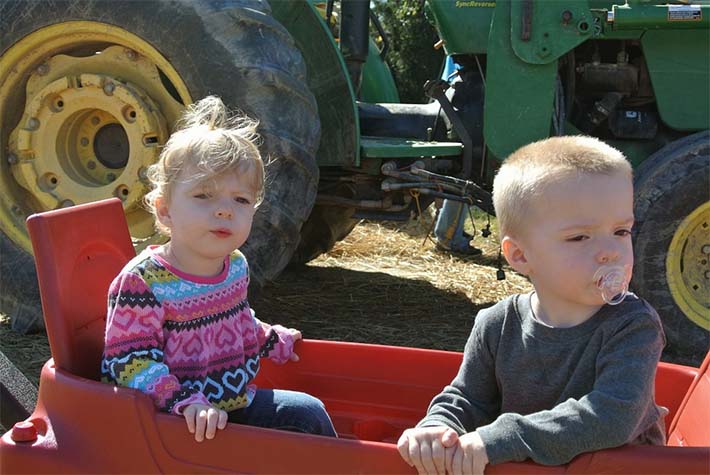 niños en una granja